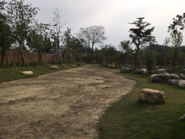竹山農地-4