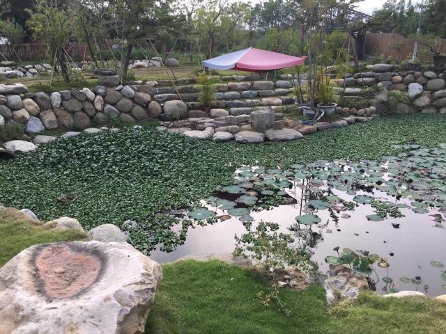 竹山農地-5