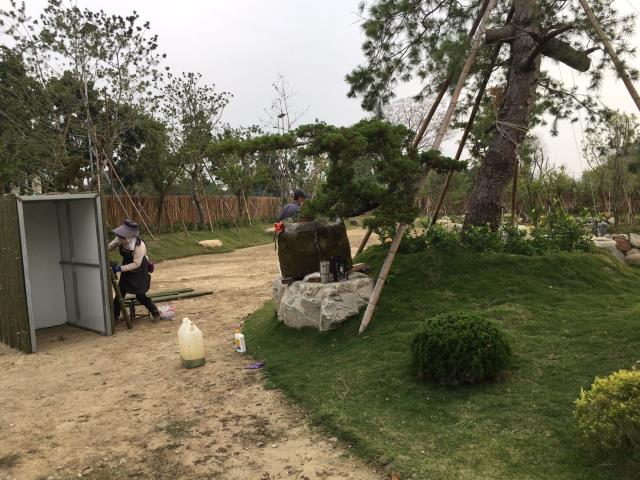 竹山農地-6