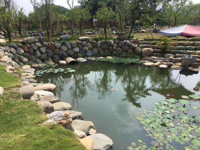 竹山農地-9