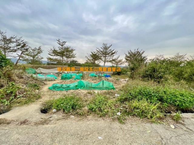 南投草屯農地-5