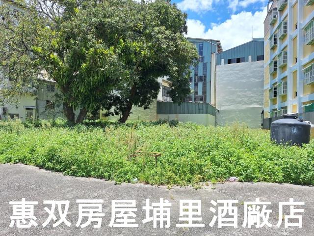 埔里建地-4