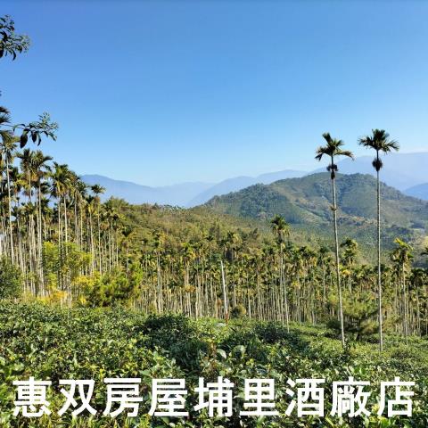 魚池農地-6