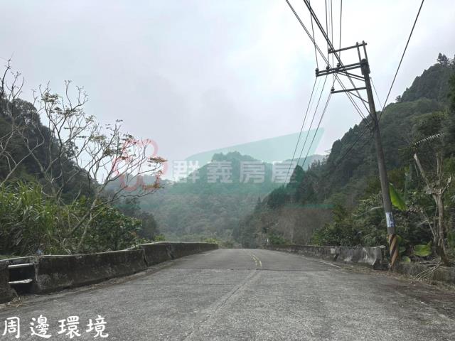 鹿谷農地-13