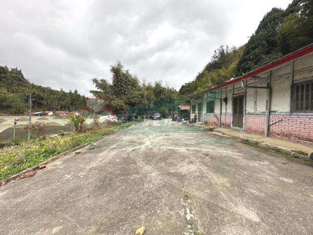 鹿谷農地-0