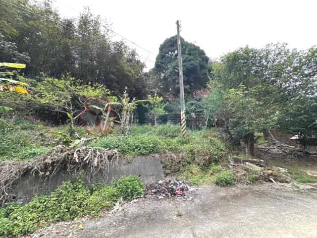 鹿谷農地-1