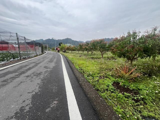 國姓農地-10