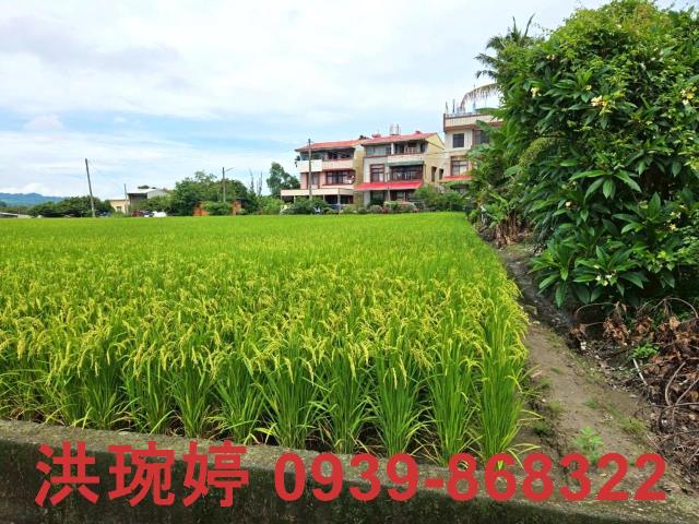 草屯農地-3