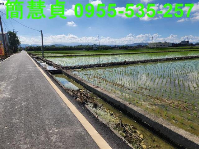南投農地-2