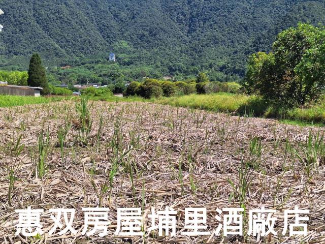 南投埔里農地-2