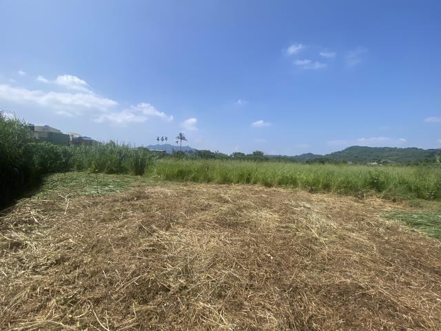 集集農地-0
