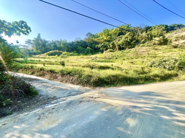 南投農地-1