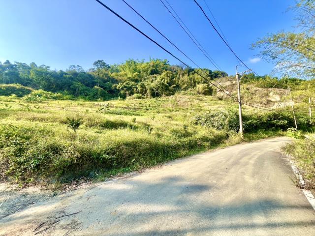 南投農地-2