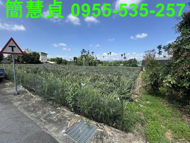 名間農地-2