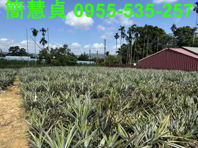 名間農地-3