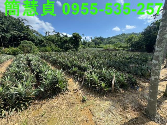 名間農地-2