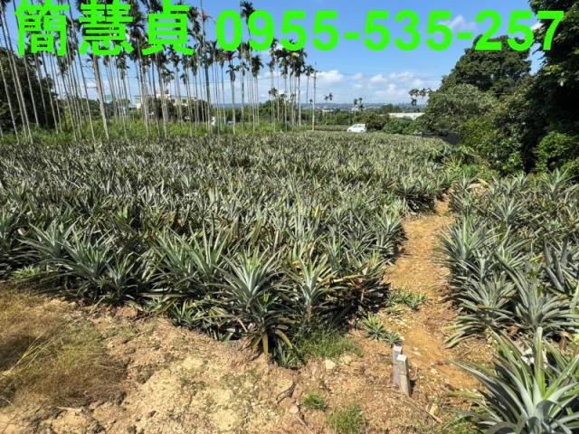 名間農地-3