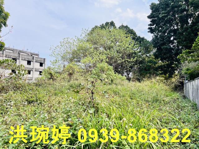 草屯農地-1