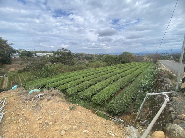名間農地-1