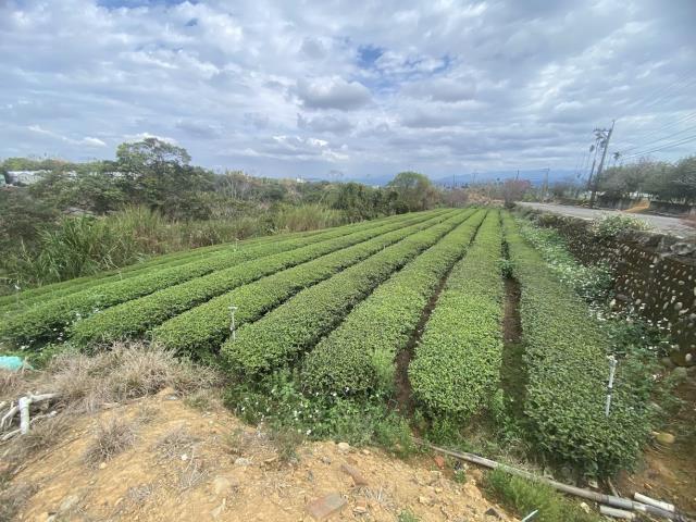 名間農地-4
