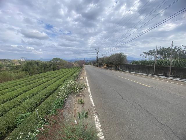 名間農地-5