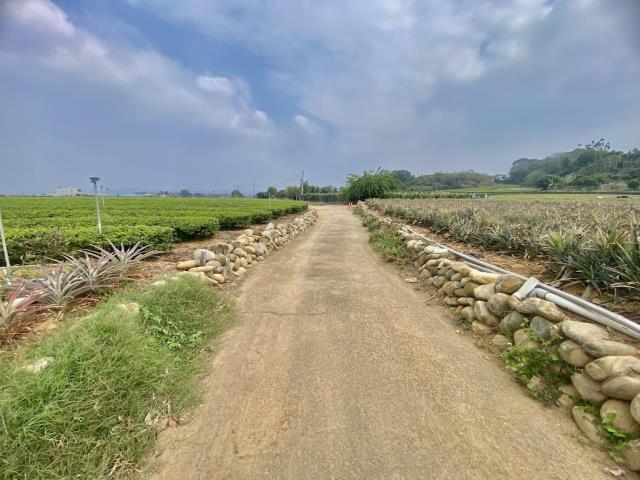 名間農地-5