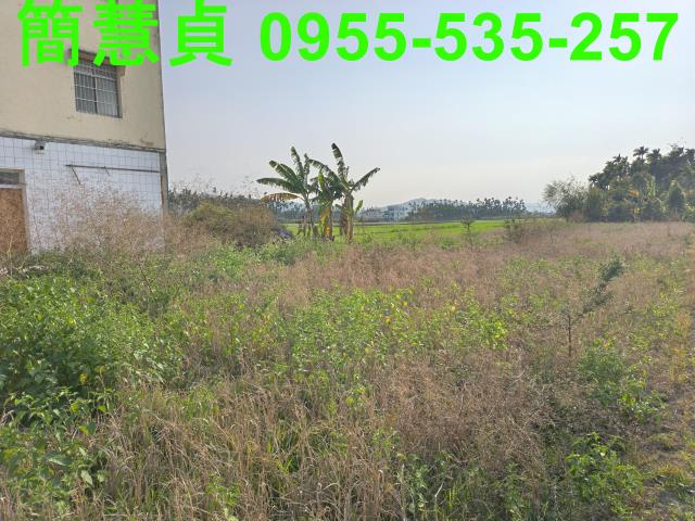 草屯農地-3