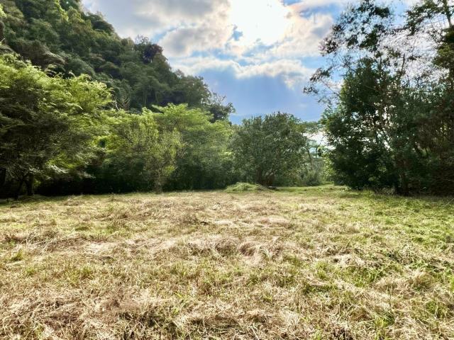 南投農地-3