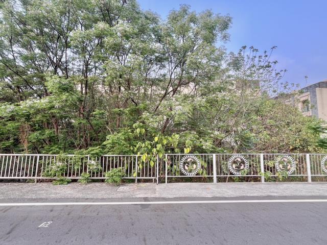 南投建地-1