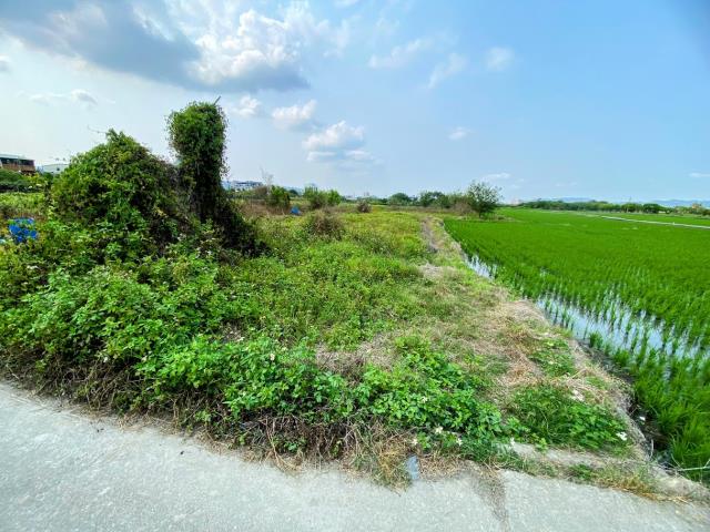 南投市農地-2