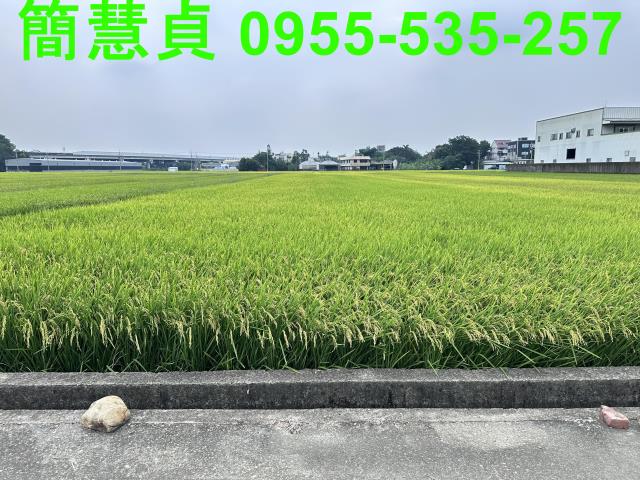 南投草屯農地-1