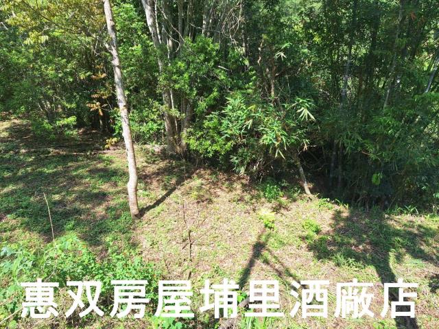 南投埔里農地-3